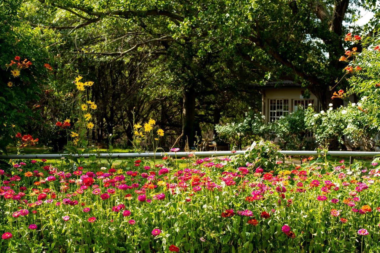 Wetlands Country House & Sheds Wakkerstroom Ngoại thất bức ảnh