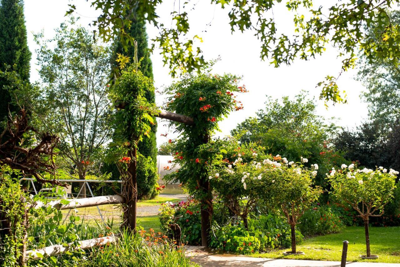 Wetlands Country House & Sheds Wakkerstroom Ngoại thất bức ảnh